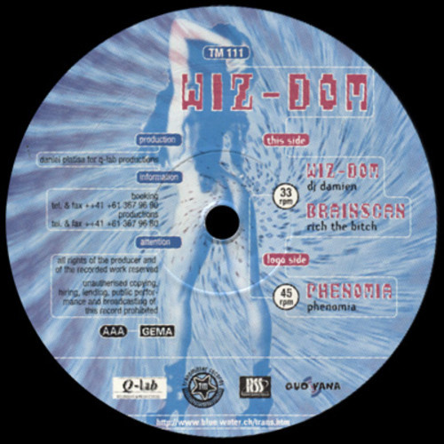 Vizdom (DJ Damien) - Brainscan by RichBitch (EP)